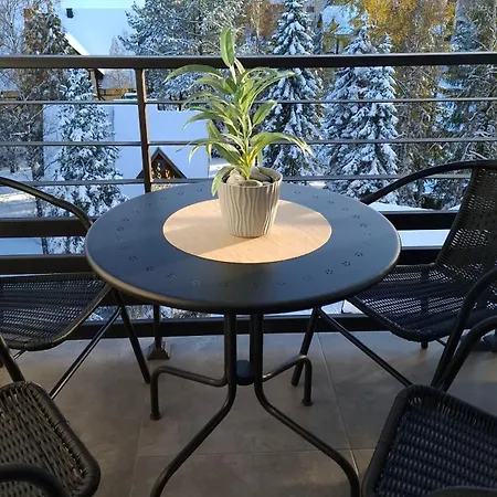 Binis 兹拉蒂博尔